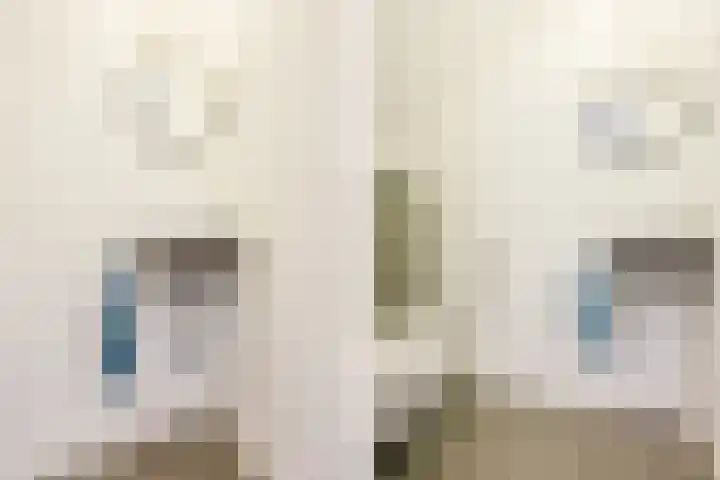 Versantvoortstraat 4 Veghel thumbnail 26
