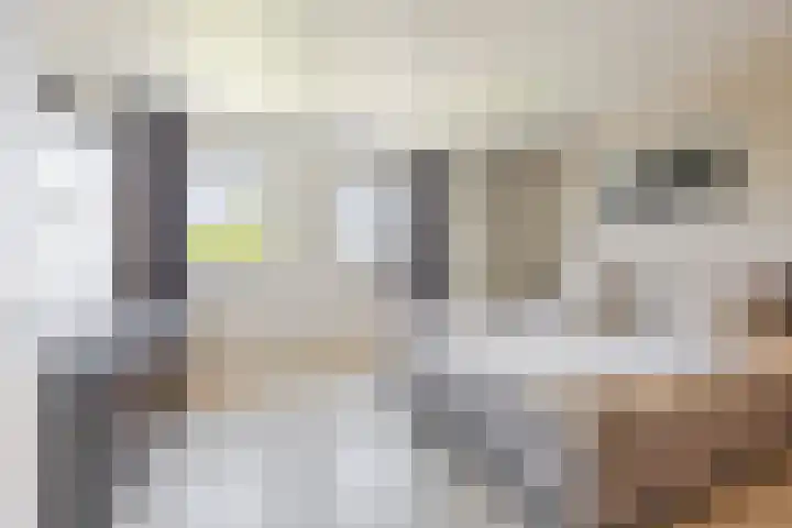 Versantvoortstraat 4 Veghel thumbnail 27