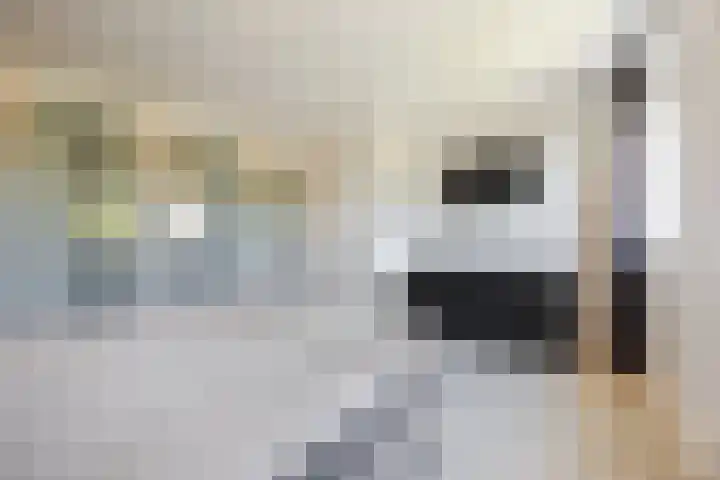 Versantvoortstraat 4 Veghel thumbnail 28