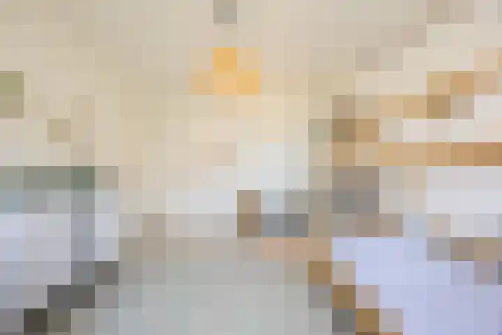 Versantvoortstraat 4 Veghel thumbnail 30