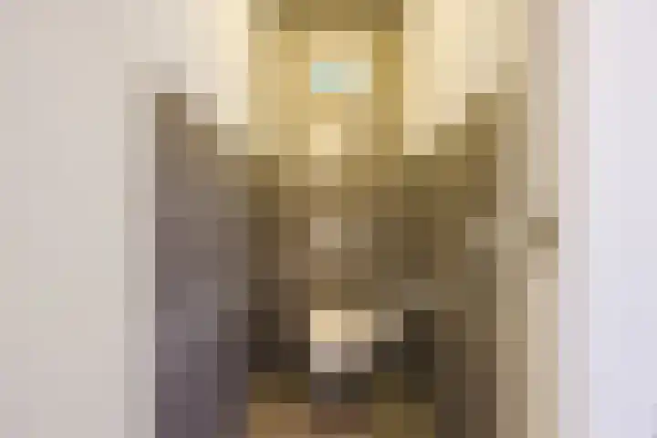 Versantvoortstraat 4 Veghel thumbnail 36