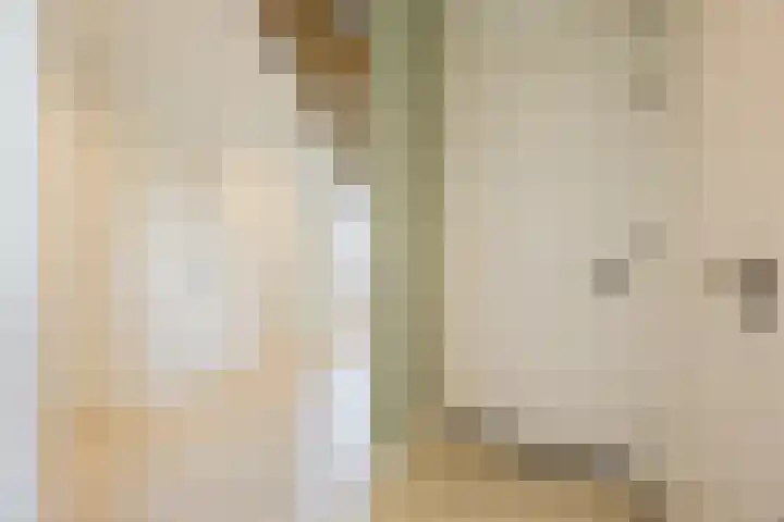 Versantvoortstraat 4 Veghel thumbnail 37