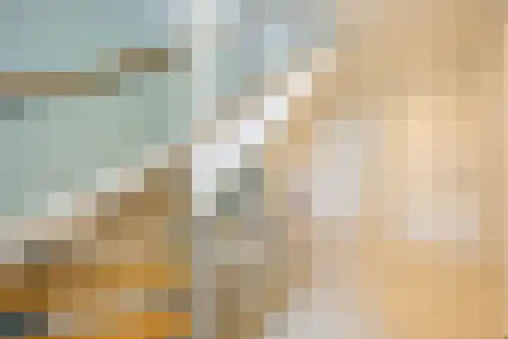 Versantvoortstraat 4 Veghel thumbnail 39