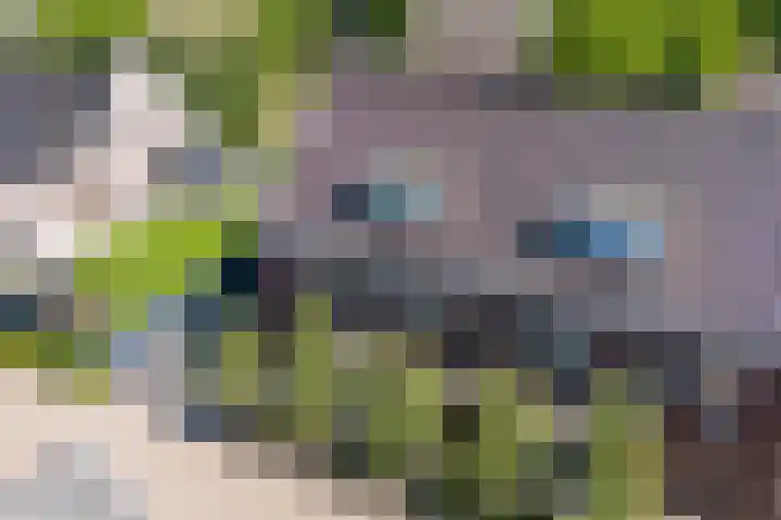 Versantvoortstraat 4 Veghel thumbnail 4