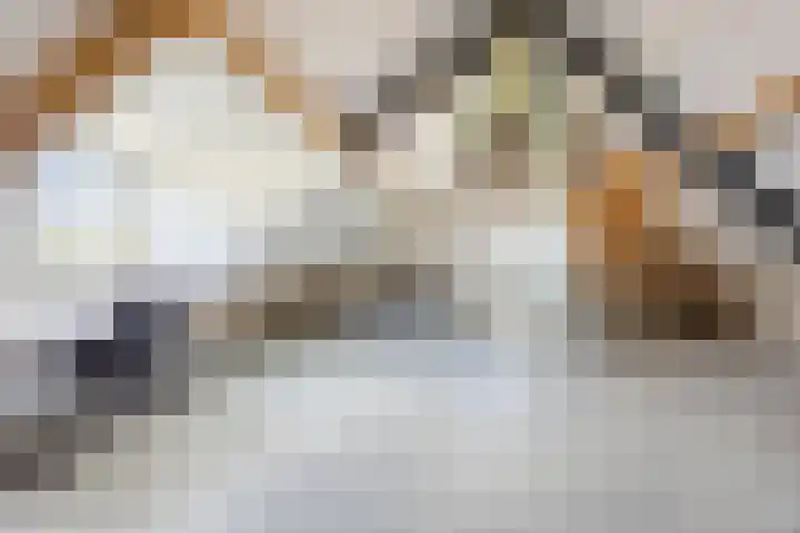 Versantvoortstraat 4 Veghel thumbnail 41