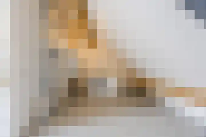 Versantvoortstraat 4 Veghel thumbnail 42