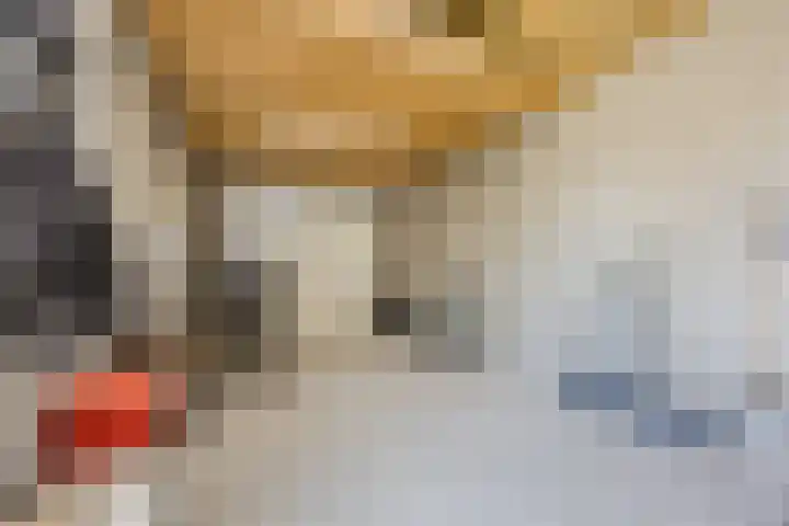 Versantvoortstraat 4 Veghel thumbnail 43