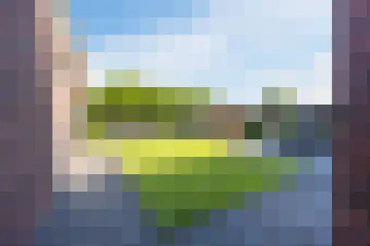 Versantvoortstraat 4 Veghel thumbnail 45