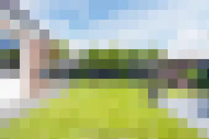Versantvoortstraat 4 Veghel thumbnail 48