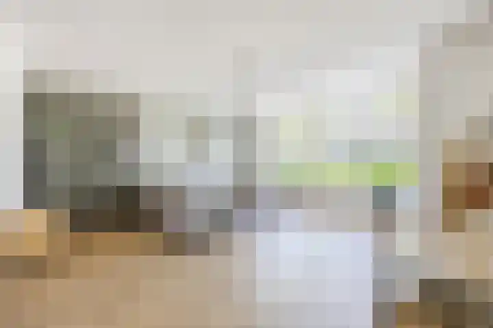Versantvoortstraat 4 Veghel thumbnail 5