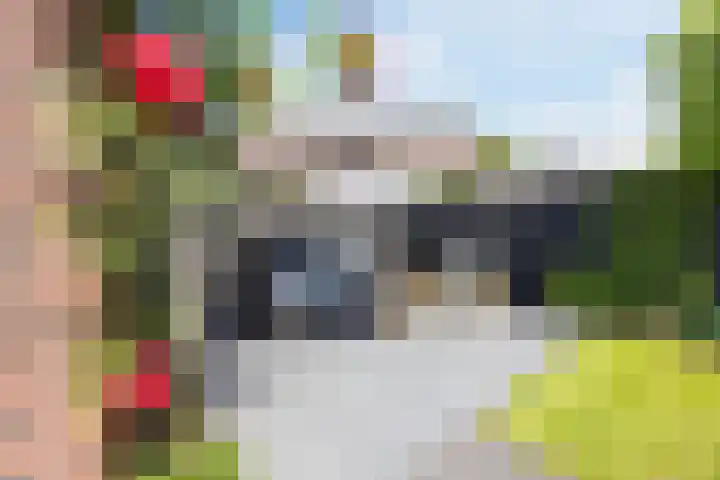 Versantvoortstraat 4 Veghel thumbnail 50