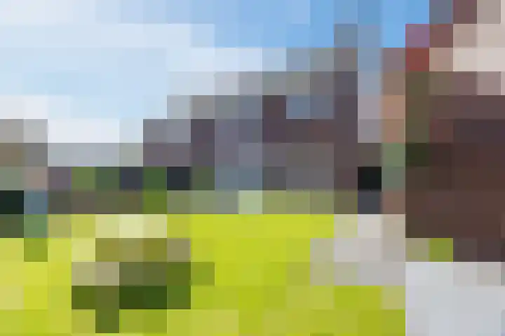 Versantvoortstraat 4 Veghel thumbnail 51