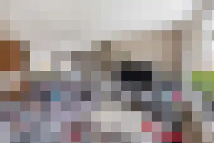 Verschansing 17 Rozenburg thumbnail 11
