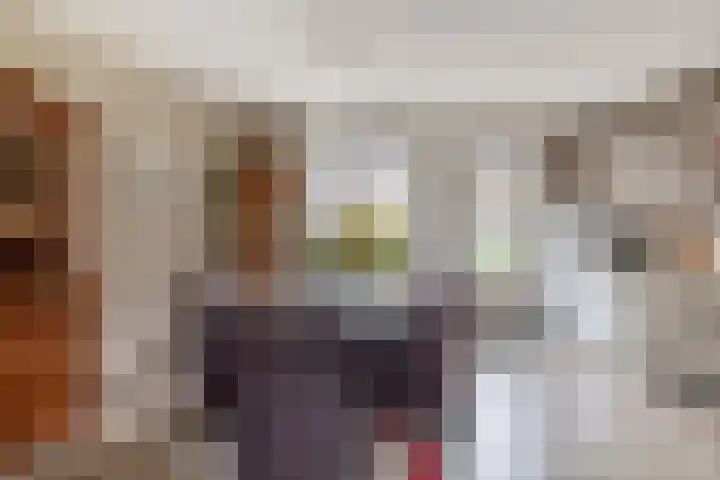 Verschansing 17 Rozenburg thumbnail 13