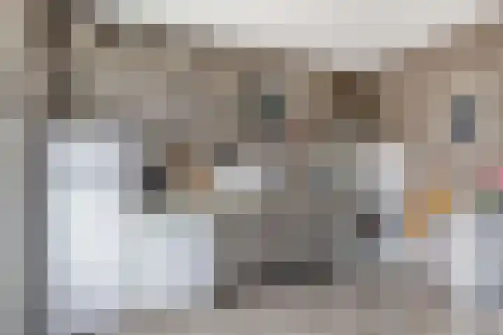 Verschansing 17 Rozenburg thumbnail 14