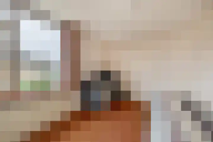 Verschansing 17 Rozenburg thumbnail 25