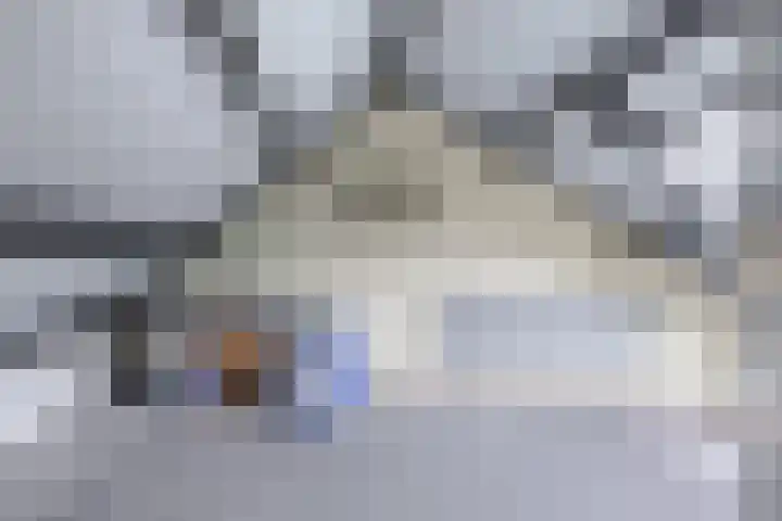 Verschansing 17 Rozenburg thumbnail 29