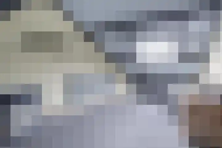 Verschansing 17 Rozenburg thumbnail 30
