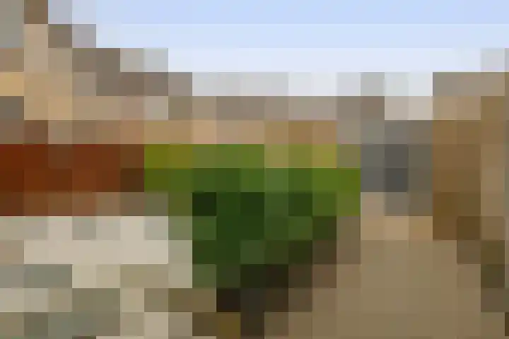 Verschansing 17 Rozenburg thumbnail 36