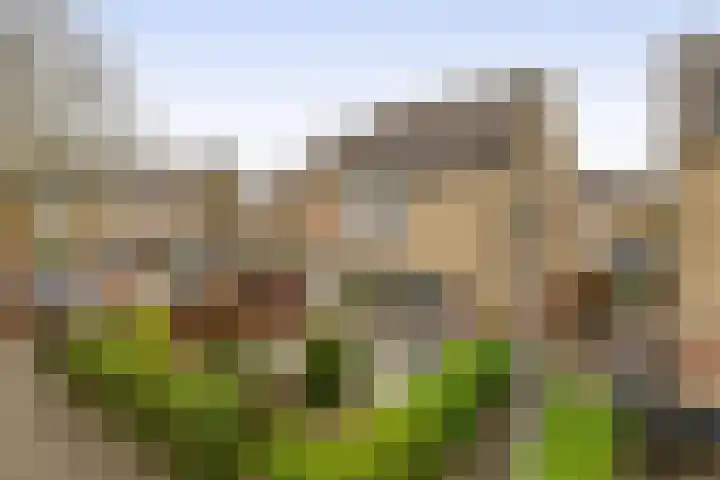 Verschansing 17 Rozenburg thumbnail 39