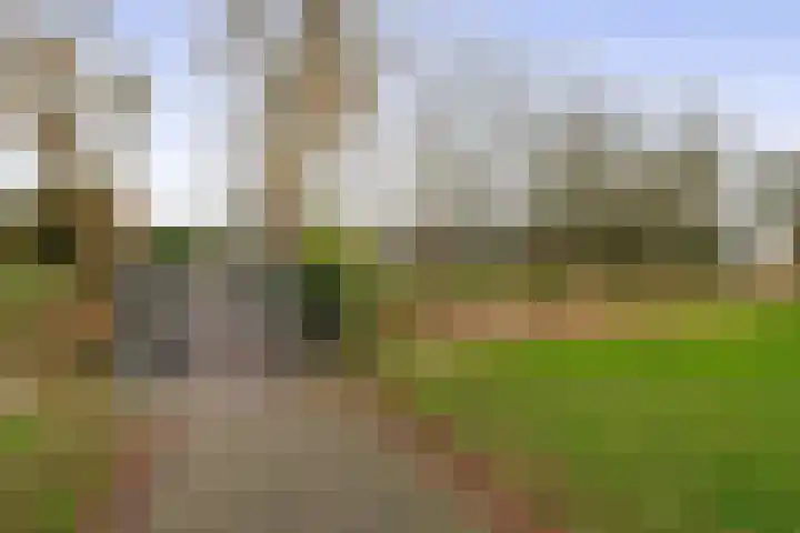 Verschansing 17 Rozenburg thumbnail 50
