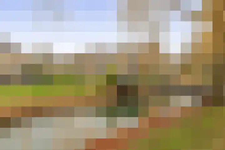 Verschansing 17 Rozenburg thumbnail 51