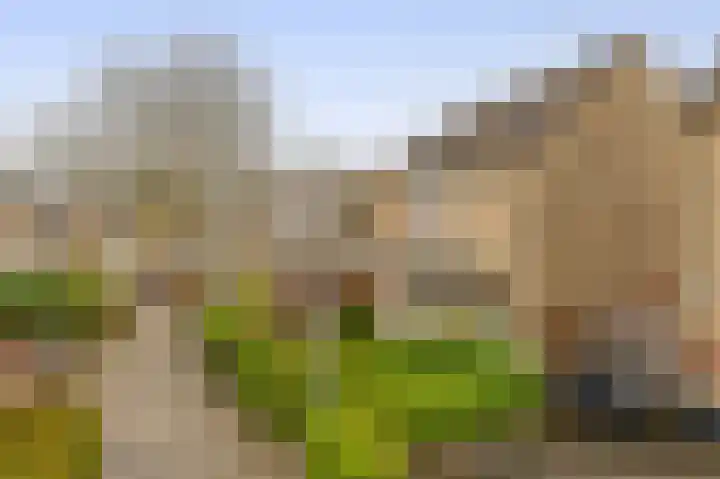 Verschansing 17 Rozenburg thumbnail 7