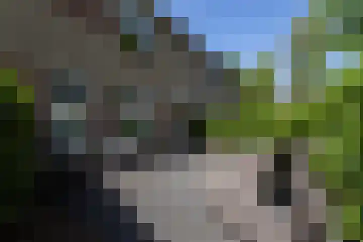 Verschansing 21 Rozenburg thumbnail 11