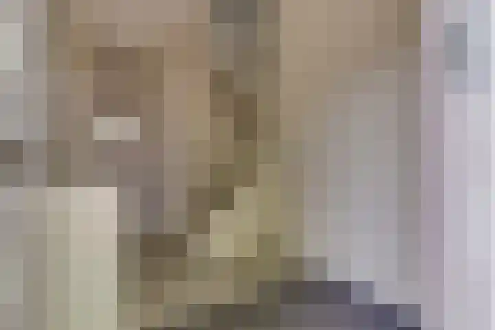 Verschansing 21 Rozenburg thumbnail 12