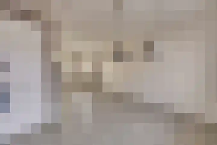 Verschansing 21 Rozenburg thumbnail 14