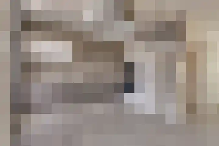 Verschansing 21 Rozenburg thumbnail 17
