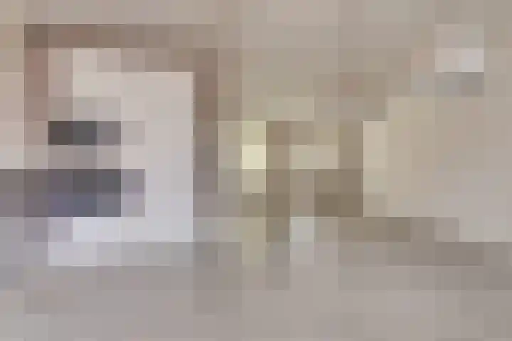 Verschansing 21 Rozenburg thumbnail 19