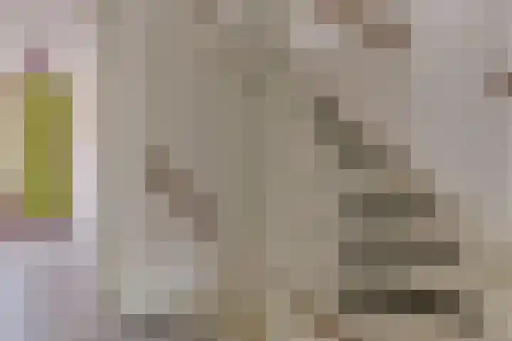 Verschansing 21 Rozenburg thumbnail 27