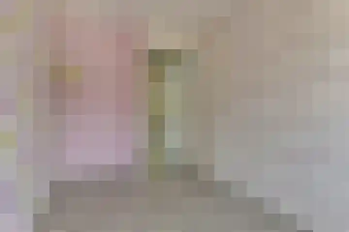 Verschansing 21 Rozenburg thumbnail 29
