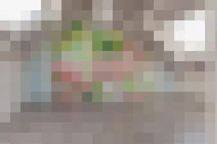 Verschansing 21 Rozenburg thumbnail 31