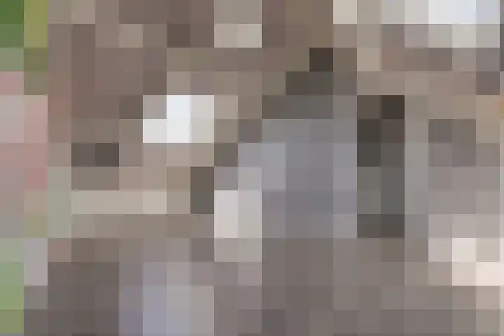 Verschansing 21 Rozenburg thumbnail 32