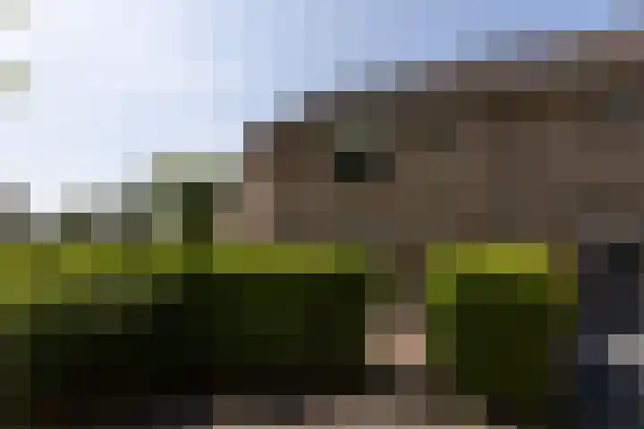 Verschansing 21 Rozenburg thumbnail 39