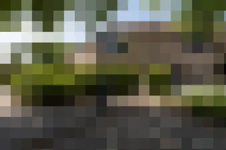 Verschansing 21 Rozenburg thumbnail 6