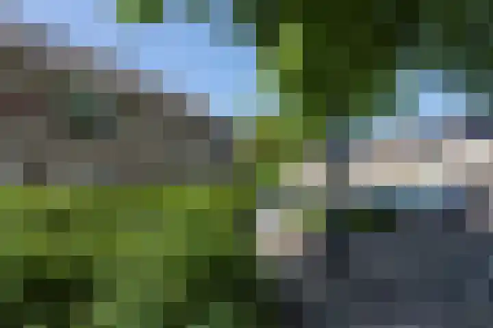 Verschansing 21 Rozenburg thumbnail 8