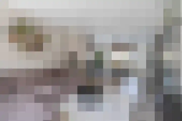 Verschansing 22 Rozenburg thumbnail 11