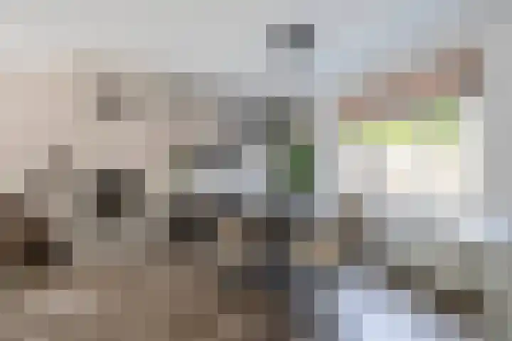 Verschansing 22 Rozenburg thumbnail 12