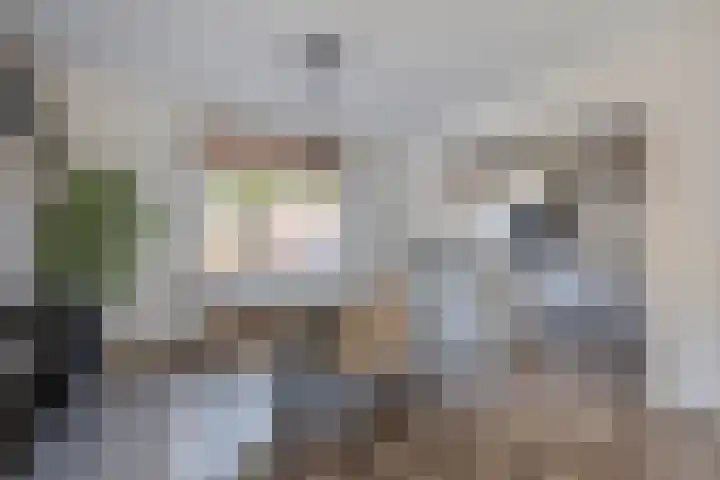 Verschansing 22 Rozenburg thumbnail 13