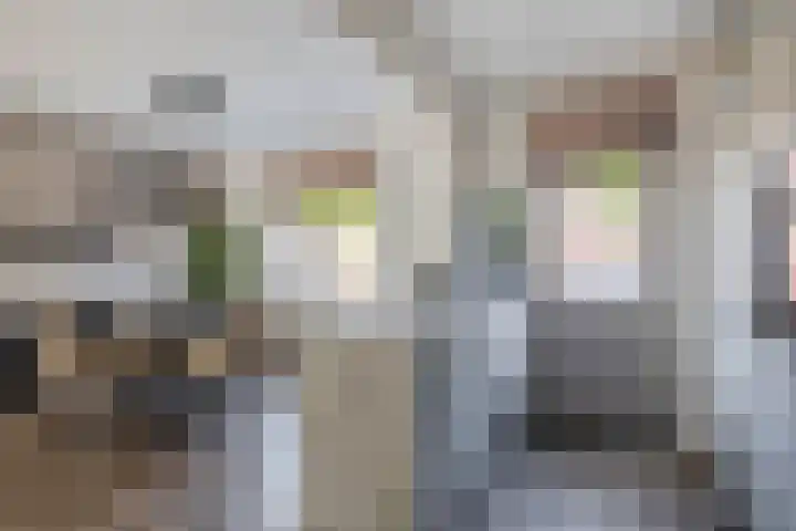 Verschansing 22 Rozenburg thumbnail 14