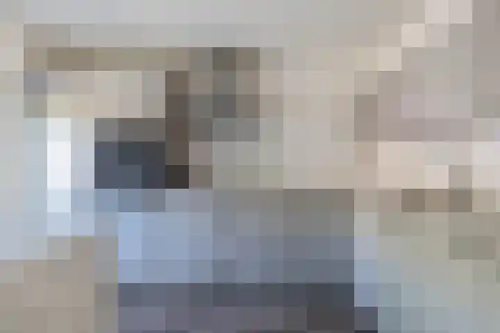Verschansing 22 Rozenburg thumbnail 15