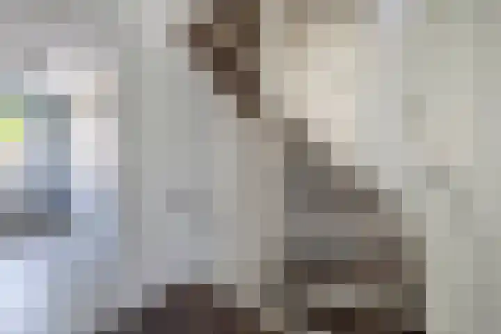 Verschansing 22 Rozenburg thumbnail 19