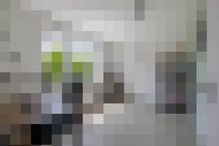 Verschansing 22 Rozenburg thumbnail 23