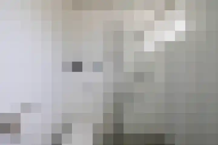 Verschansing 22 Rozenburg thumbnail 25