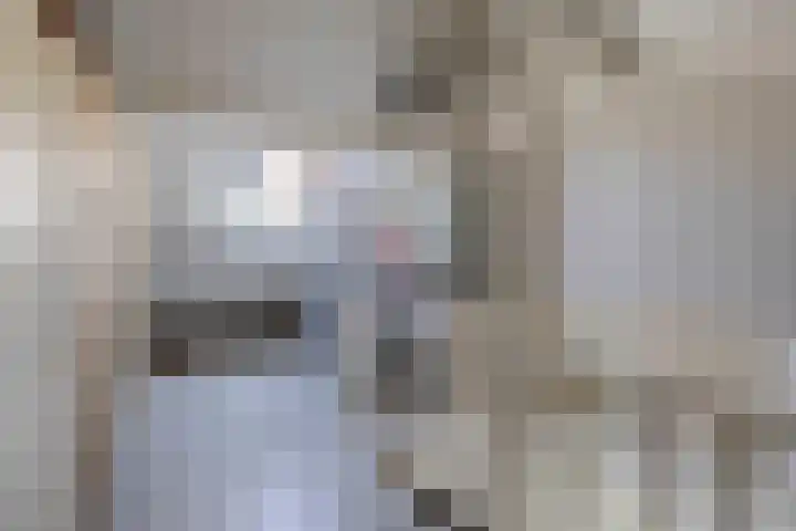 Verschansing 22 Rozenburg thumbnail 28
