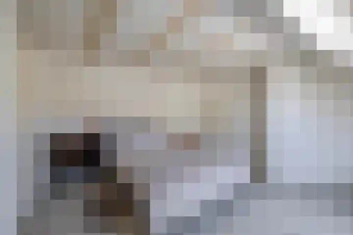 Verschansing 22 Rozenburg thumbnail 29
