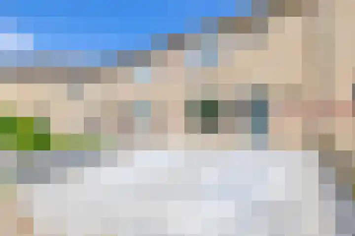Verschansing 22 Rozenburg thumbnail 34